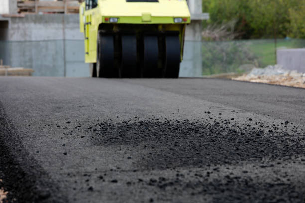 Best Driveway Pavers for Homes  in La Plata, NM