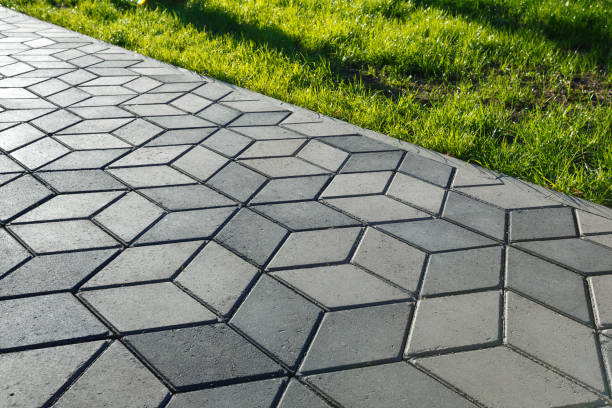 Best Driveway Repair Near Me  in La Plata, NM