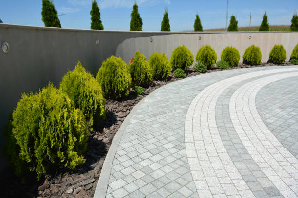 Best Driveway Paving Company  in La Plata, NM